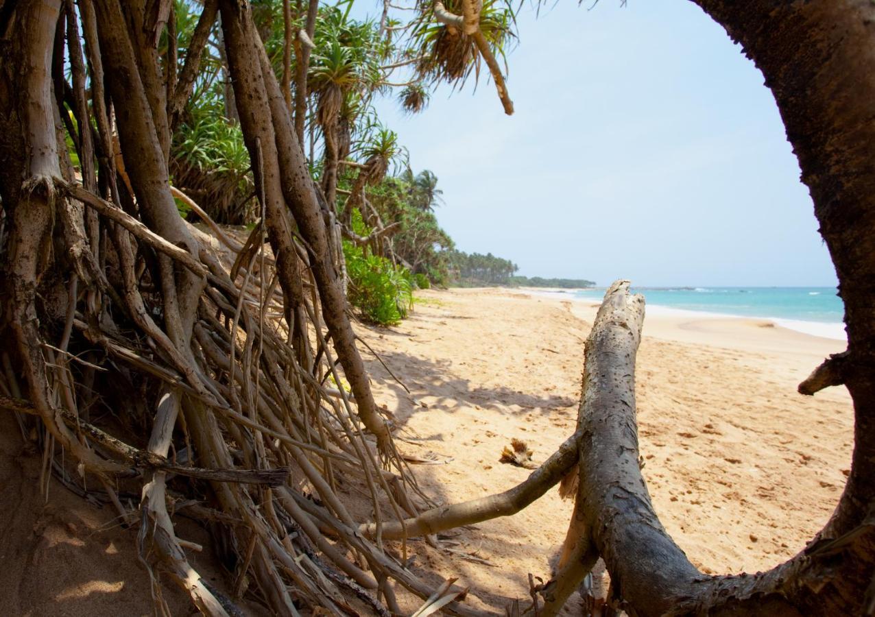 Hotel Turtle Paradise Tangalle